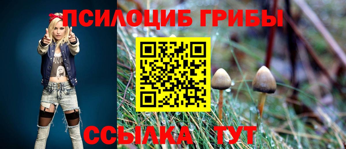 Галлюциногенные грибы Cubensis  Вход с VPN  купить наркотик  Тихорецк 